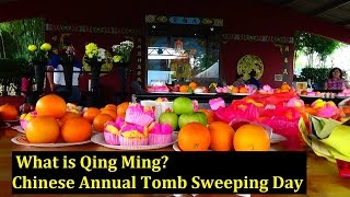 What is Qing Ming  Chinese Tomb Sweeping Day  A Documentary VLOG by Wan Hoe [upl. by Leno336]