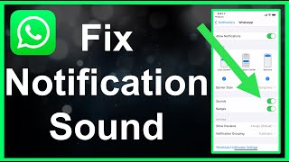 How To Fix WhatsApp Notification Sound EASY [upl. by Notecnirp645]