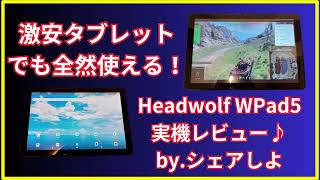 pr Headwolf WPad5タブレット実機レビュー♪Amazonで安い10インチタブレットでゲームをやってみた♪ [upl. by Sices666]