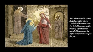 Live Stream Holy Mass The Visitation of the Blessed Virgin Mary [upl. by Olpe500]