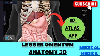 Lesser Omentum  Anatomy of Lesser Omentum 3d  Abdomen Anatomy [upl. by Naarah]