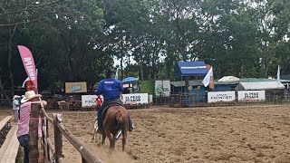 IV Campeonato Nacional de Lazo Analpa 2023 Chiriquí Occidente vs Bocas del Toro [upl. by Hanway]