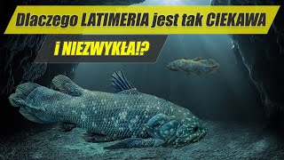 LATIMERIA – skamieniałość która nie wyginęła  najdziwniejsze zwierzęta świata 8 [upl. by Igig]