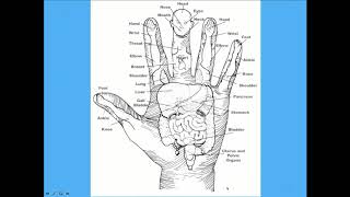 Korean Hand Therapy Introduction Webinar with Michael Tierra [upl. by Peggir]