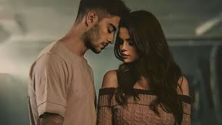 Selena Gomez  Im Sorry We Lied ft ZAYN [upl. by Alleahcim]