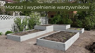 Montaż betonowych warzywników  wypełnienie skrzyń na warzywa  podwyższone grządki [upl. by Yduj]