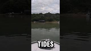 HIGH TIDE TRAPPED US adventure fishing fish camping shortsviral shorts viral gopro short [upl. by Basilio]