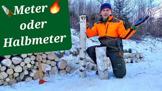 Meter oder Halbmeter Holz 🔥🪚🤔 im Wald sägen Brennholz selber machen brennholz selbstversorger [upl. by Alyak]