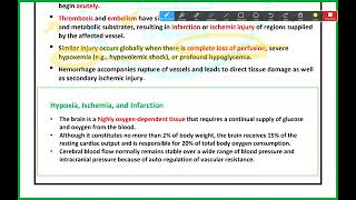 CNS Pathology  Vascular Disease of the CNS  Mutah [upl. by Accebar]