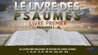 Le Livre des Psaumes  Bible Audio Complet BibleAudio Psaumes [upl. by Newfeld]