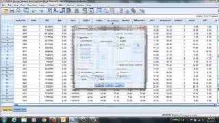 SPSS amp Descriptive Statistics [upl. by Locke]