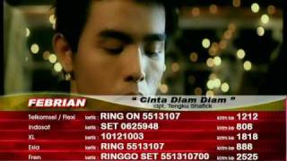 Febrian  Cinta Diam Diam Official Video [upl. by Abigale]