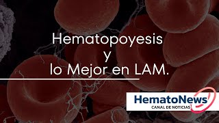 Hematopoyesis y lo Mejor en LAM [upl. by Radke]