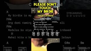 Please Dont Touch My Birdie  Parokya Ni Edgar  Guitar Chords Tutorial For Beginnersguitarlessons [upl. by Martyn28]