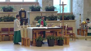 Fifteenth Week in Ordinary Time Sunday July 14 2024 10am Holy Mass with Fr Jan Klak [upl. by Aztiray]