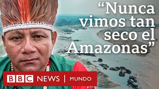 Ríos secos y delfines muertos las imágenes que muestran el avance de la sequía en el Amazonas [upl. by Vogel]