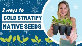 How To Cold Stratify Seeds 2 Methods Of Cold Stratification For Successful Germination ❄️🌱 [upl. by Call]