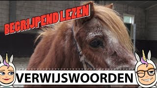 31 BEGRIJPEND LEZEN VERWIJSWOORDEN [upl. by Jarret]