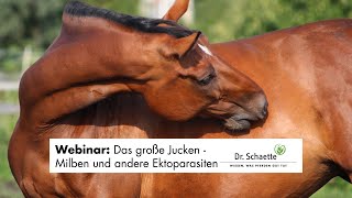 Webinar quotDas große Jucken  Milben und andere Ektoparasitenquot [upl. by Ilaw219]