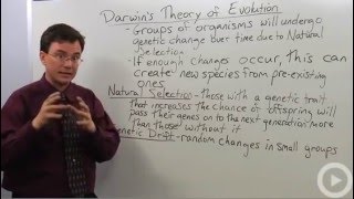 Darwins Theory of Evolution [upl. by Neersin]