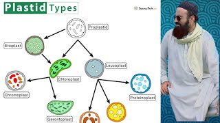 plastids  9th class biology in Pashto [upl. by Aihtibat102]