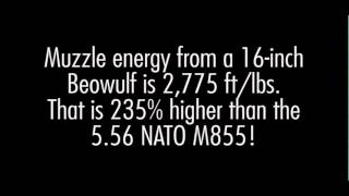 50 Beowulf 200g ARX Polycase Ballistic Gel test [upl. by Aiseneg]