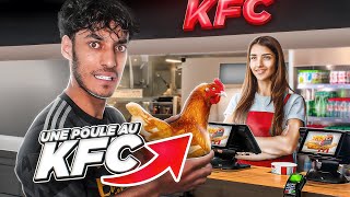 RAMENER une POULE à KFC  oui vraiment [upl. by Fonzie567]