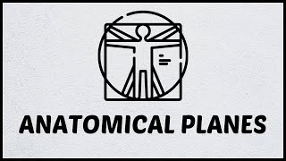 Anatomical Planes شرح الـ [upl. by Torhert]