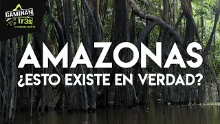 VER PARA CREER LA SELVA SE PRONUNCIA Natamú en el Amazonas  CaminanTr3s El tercero eres tú [upl. by Dart]