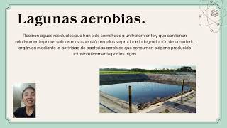 Lagunas de oxidación estabilización anaeróbica facultativa aeróbica aireada o maduracion [upl. by Llerref]