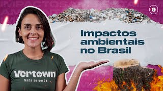 IMPACTOS AMBIENTAIS NO BRASIL  O que é impacto ambiental quais consequências e como diminuir 🚨 [upl. by Savinirs]