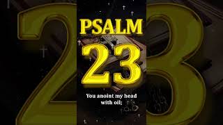 Unleash Most Powerful Prayer of Psalm 23 Experience Miraculous Blessings [upl. by Acirem595]