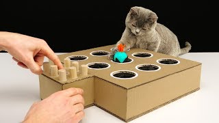 DIY Cat Toy WhackAMole from Cardboard [upl. by Olympium]