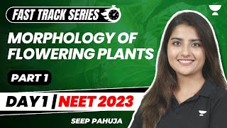 Morphology of flowering plants mcq neet 2022  class 11th biology chapter5 [upl. by Nibla]