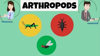 Characteristics of Arthropods [upl. by Bottali]