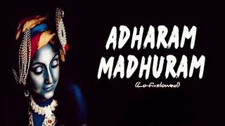 ADHARAM MADHURAM  maduratrakam  Lofi  slowedrevarb [upl. by Riay679]