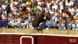 Enraged Bull Leaps into Stands  Worlds Scariest Animal Attacks [upl. by Odirfliw]