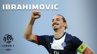 Zlatan Ibrahimovic  All 26 Goals  20132014 [upl. by Thorne]