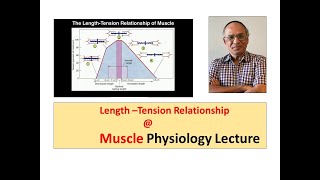 Physiology l Length –Tension Relationship of Muscle l Muscle Physiology l Physiology Lecture [upl. by Pegeen542]