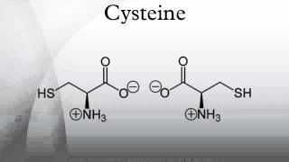 Cysteine [upl. by Anilesor]