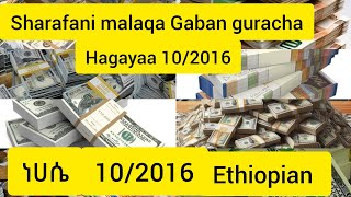 Sharafani Gaban guracha Ethiopian afaanoromoo የጥቁር ገበያና የባንክ ምንዛሪ የዛሬ [upl. by Flieger589]