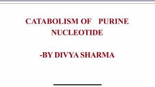 CATABOLISM OF PURINE NUCLEOTIDES BIOCHEMISTRY BY DIVYA SHARMA purines uricacid urea [upl. by Shewchuk277]