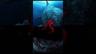 Megalodon vs Livyatan edits are rigged [upl. by Amery266]