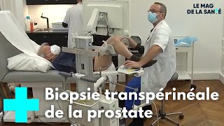 Prostate  une biopsie moins risquée  Le Magazine de la Santé [upl. by Ilario571]