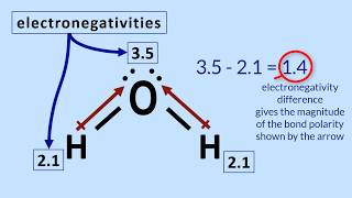 Polar Molecules Tutorial How to determine polarity in a molecule [upl. by Melloney]