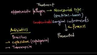 Pseudomonas aeruginosa treatment [upl. by Einhapets]