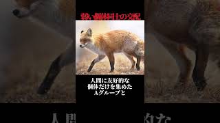 ㊗700万再生！！弱い個体を掛け合わせていったら？自然界の法則に逆らった実験【ゆっくり解説】 [upl. by Grannia]