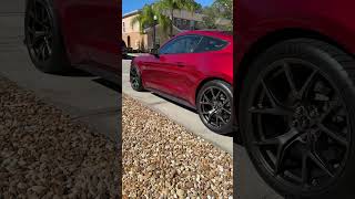 BMR Mustang lowering springs review [upl. by Legyn759]