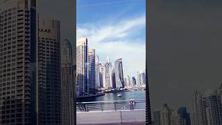 Dubai marina 🇦🇪 shorts dubai explore [upl. by Wilen362]