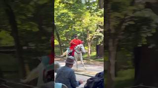 Horseback Archery🎯🐎 japanjapantravelkyotokyototriptraditionalshrine京都京都観光旅行日本の風景流鏑馬 [upl. by Eimmot330]